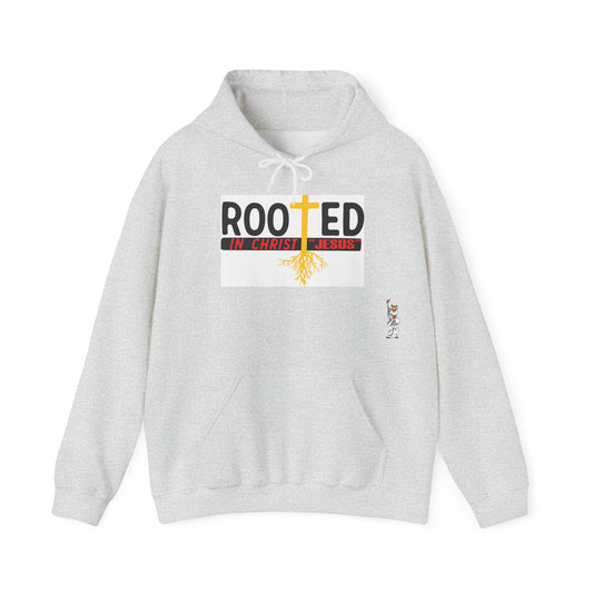 Statue of Liberty Hoodie, Unisex Sweatshirt, Gift for Her, Comfortable Apparel, Design Sweatshirt - Rooted in Christ Jesus