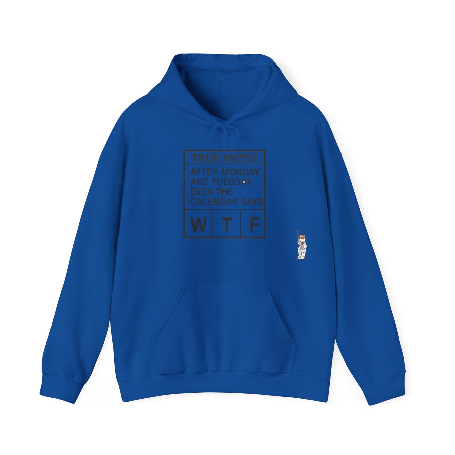 Statue of Liberty Hoodie, Unisex Sweatshirt, Gift for Her, Comfortable Apparel, Design Sweatshirt - Texas Proud - True Facts