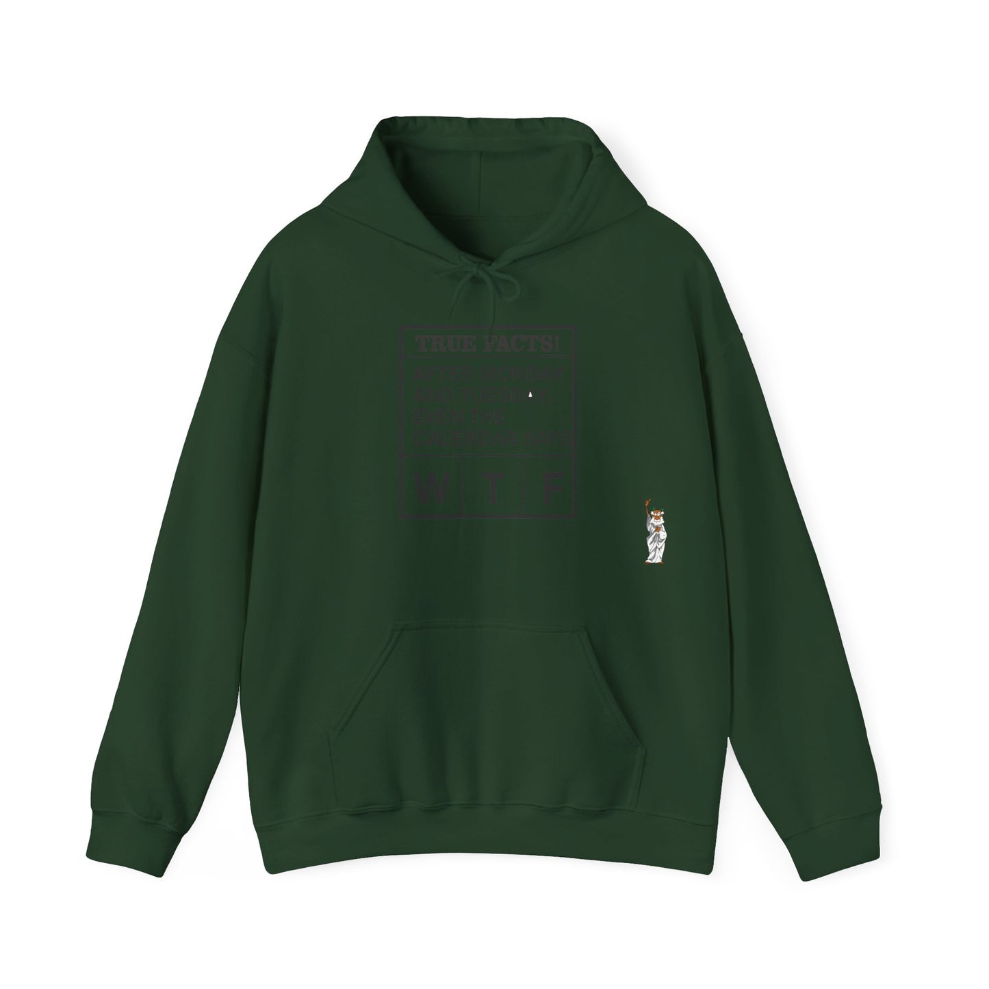 Statue of Liberty Hoodie, Unisex Sweatshirt, Gift for Her, Comfortable Apparel, Design Sweatshirt - Texas Proud - True Facts
