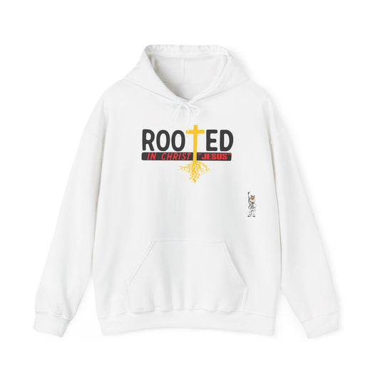 Statue of Liberty Hoodie, Unisex Sweatshirt, Gift for Her, Comfortable Apparel, Design Sweatshirt - Rooted in Christ Jesus