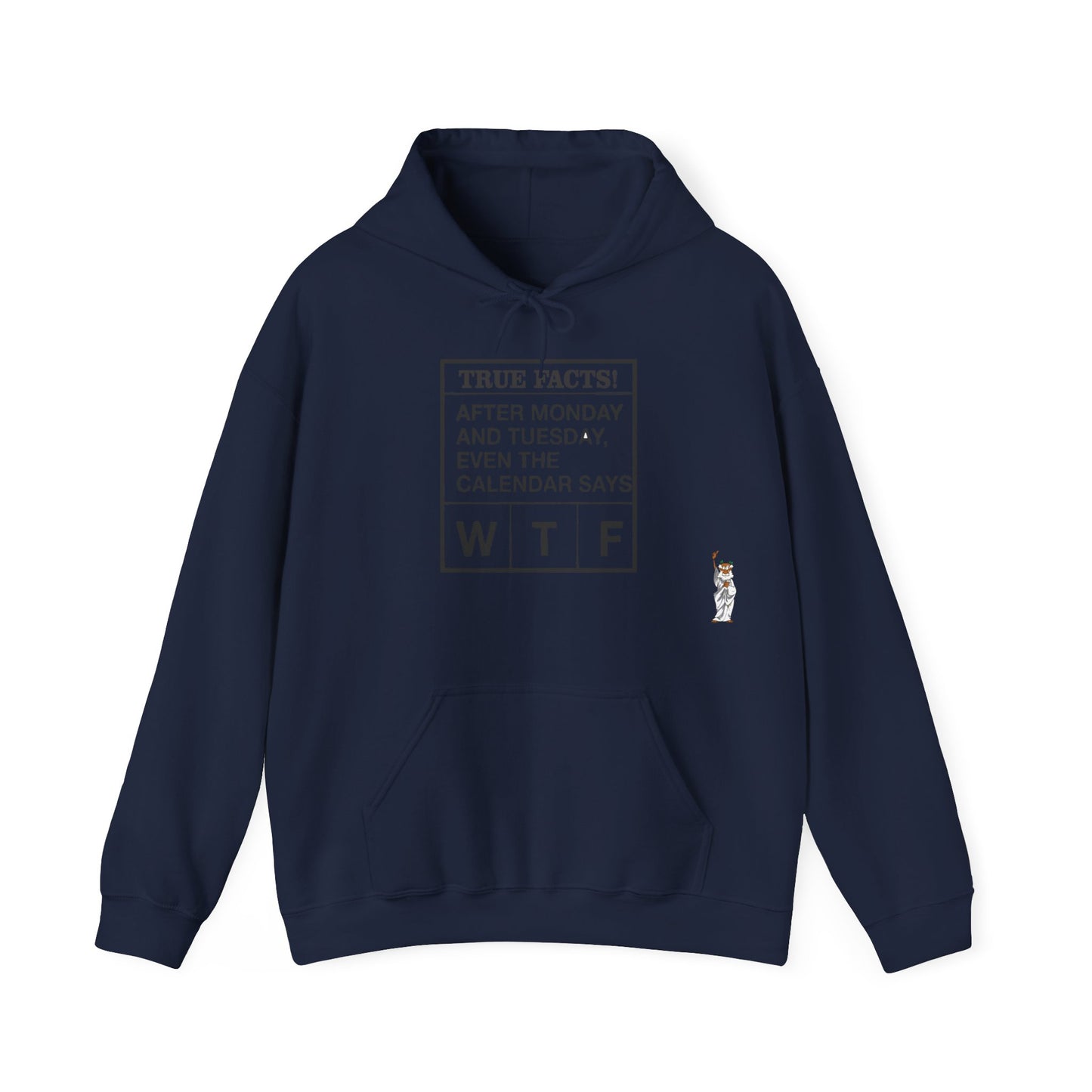 Statue of Liberty Hoodie, Unisex Sweatshirt, Gift for Her, Comfortable Apparel, Design Sweatshirt - Texas Proud - True Facts