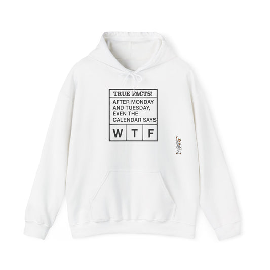 Statue of Liberty Hoodie, Unisex Sweatshirt, Gift for Her, Comfortable Apparel, Design Sweatshirt - Texas Proud - True Facts