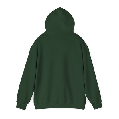Statue of Liberty Hoodie, Funny Unisex Sweatshirt, Gift for Her, Casual Wear, Comfortable Apparel, Unique Design Sweatshirt - Boyz Camp
