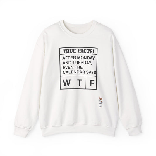Whimsical Comedy Sweatshirt - Unisex Crewneck,  Everyday Wear, Holiday Apparel, Graphic Sweatshirt - Texas Proud - True Facts
