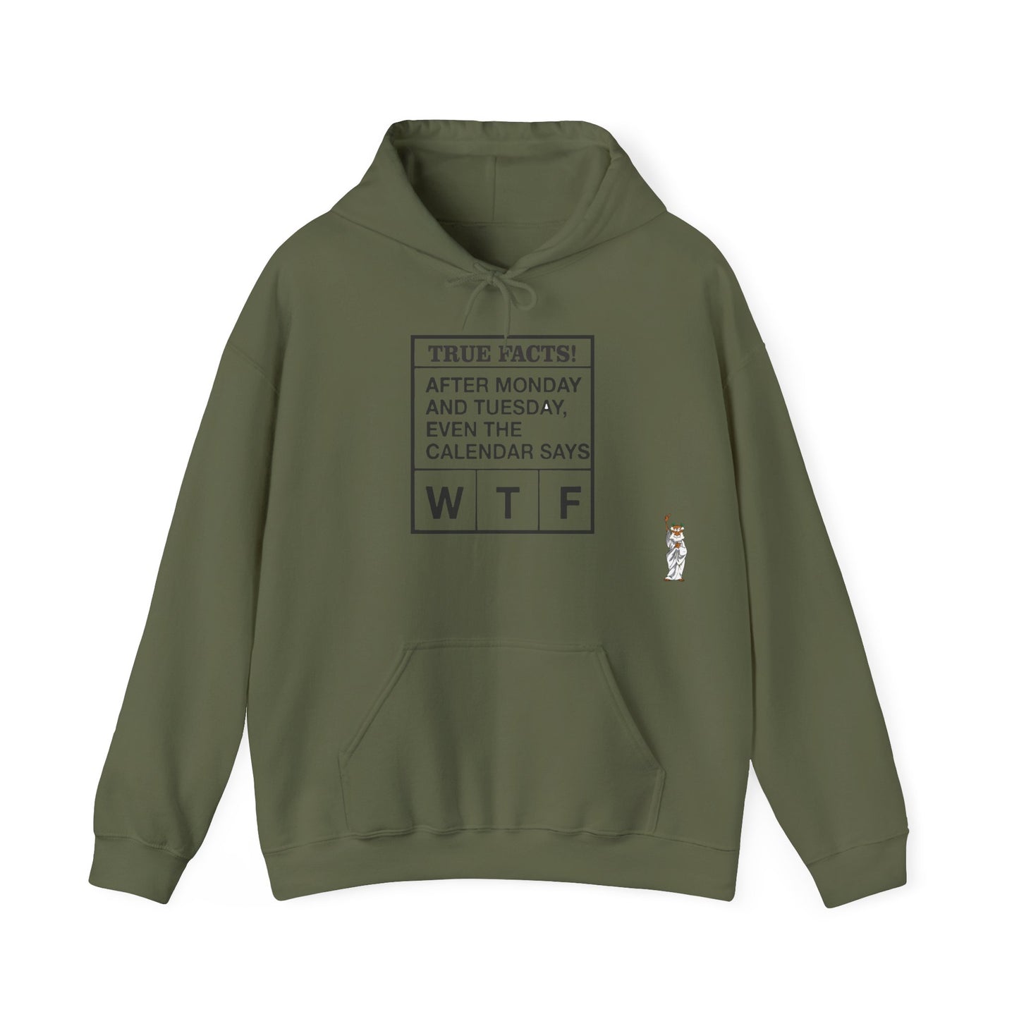 Statue of Liberty Hoodie, Unisex Sweatshirt, Gift for Her, Comfortable Apparel, Design Sweatshirt - Texas Proud - True Facts