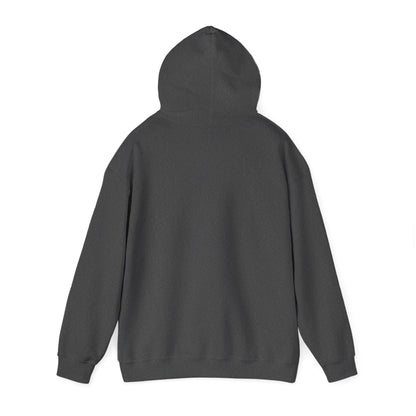 Statue of Liberty Hoodie, Funny Unisex Sweatshirt, Gift for Her, Casual Wear, Comfortable Apparel, Unique Design Sweatshirt - Boyz Camp