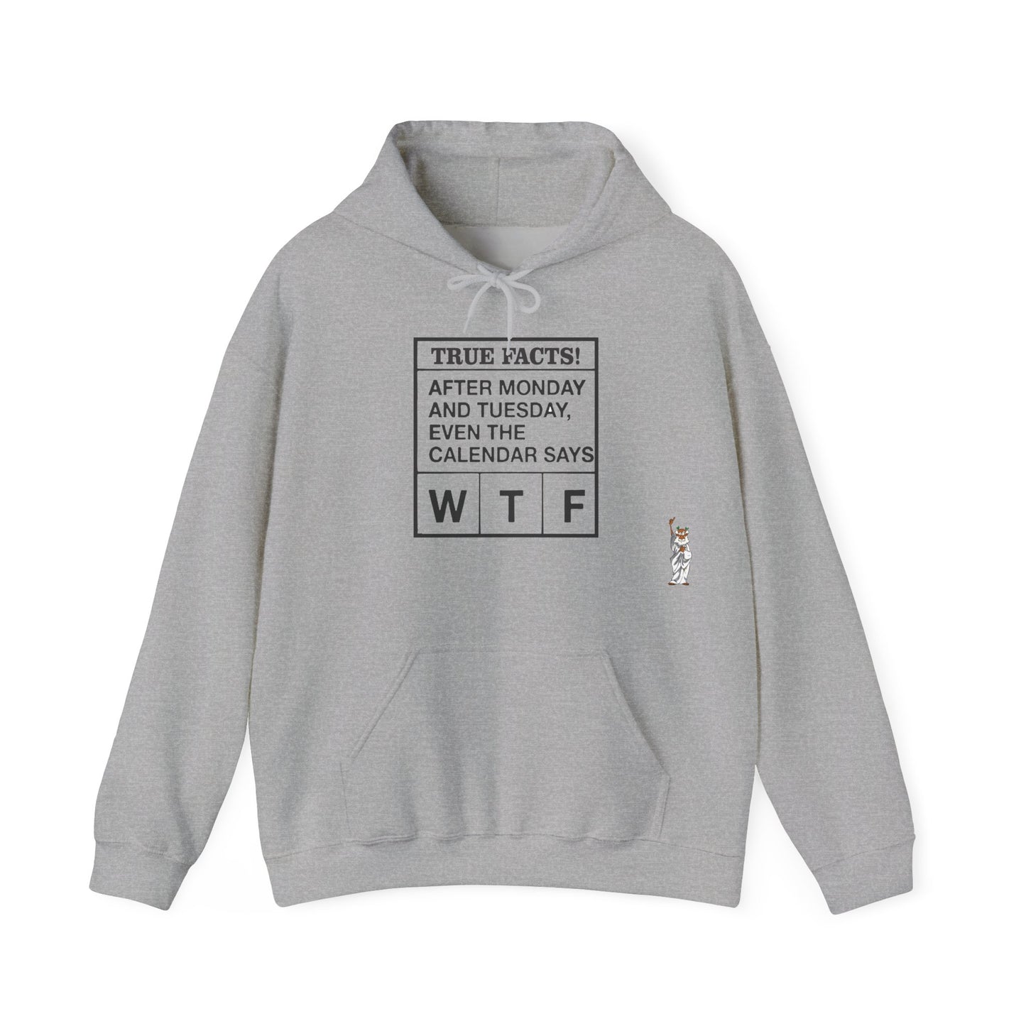 Statue of Liberty Hoodie, Unisex Sweatshirt, Gift for Her, Comfortable Apparel, Design Sweatshirt - Texas Proud - True Facts