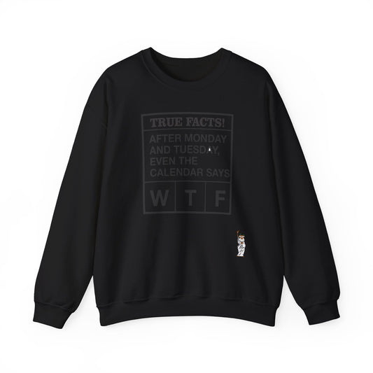 Whimsical Comedy Sweatshirt - Unisex Crewneck,  Everyday Wear, Holiday Apparel, Graphic Sweatshirt - Texas Proud - True Facts