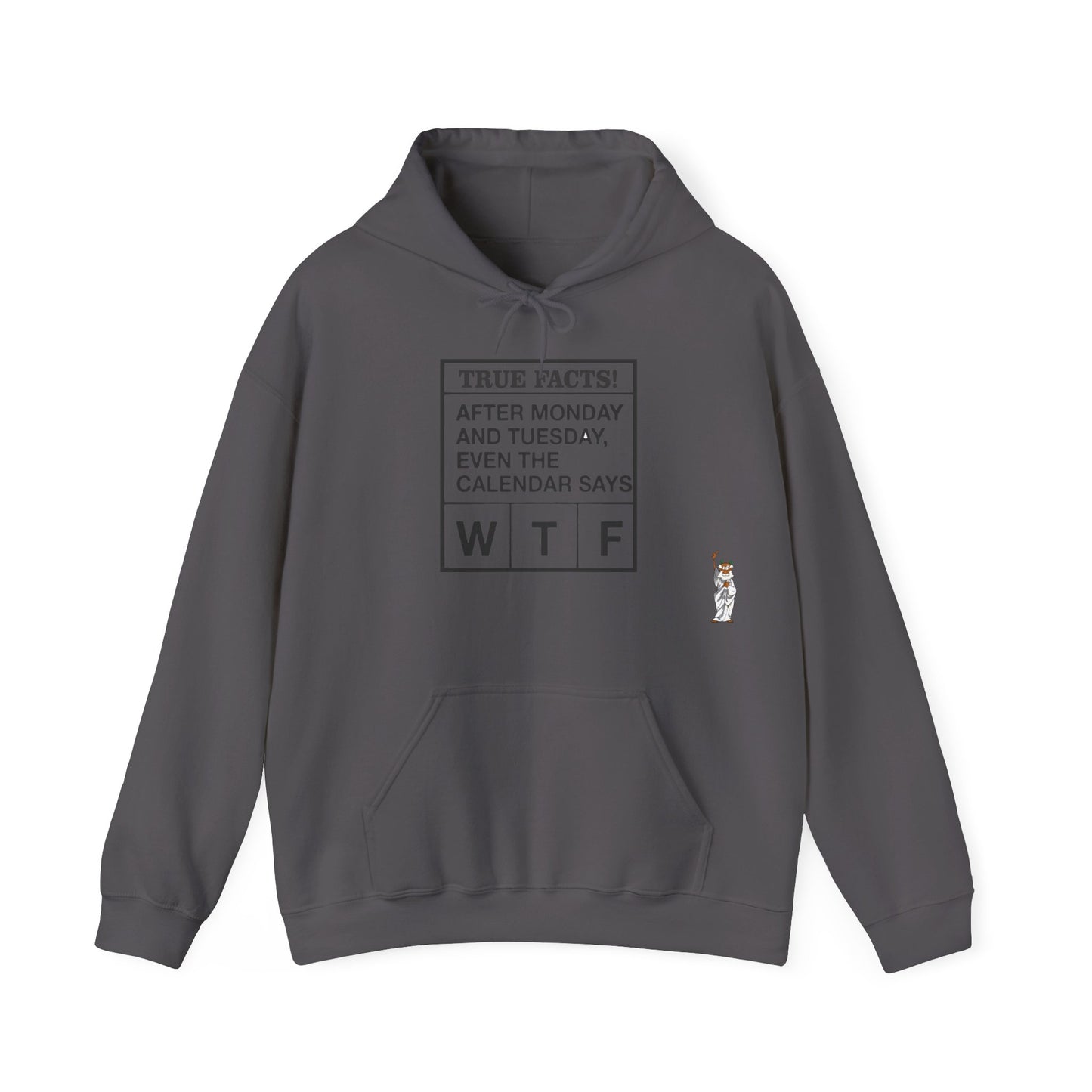 Statue of Liberty Hoodie, Unisex Sweatshirt, Gift for Her, Comfortable Apparel, Design Sweatshirt - Texas Proud - True Facts