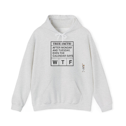 Statue of Liberty Hoodie, Unisex Sweatshirt, Gift for Her, Comfortable Apparel, Design Sweatshirt - Texas Proud - True Facts