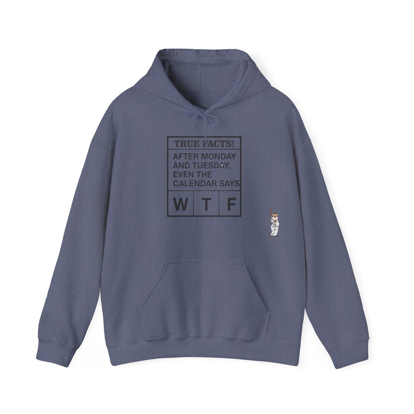 Statue of Liberty Hoodie, Unisex Sweatshirt, Gift for Her, Comfortable Apparel, Design Sweatshirt - Texas Proud - True Facts