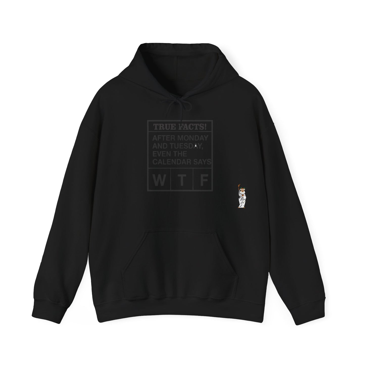 Statue of Liberty Hoodie, Unisex Sweatshirt, Gift for Her, Comfortable Apparel, Design Sweatshirt - Texas Proud - True Facts