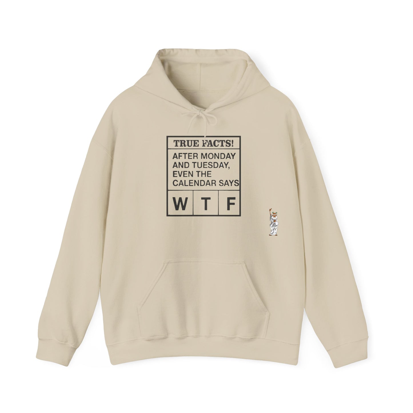 Statue of Liberty Hoodie, Unisex Sweatshirt, Gift for Her, Comfortable Apparel, Design Sweatshirt - Texas Proud - True Facts